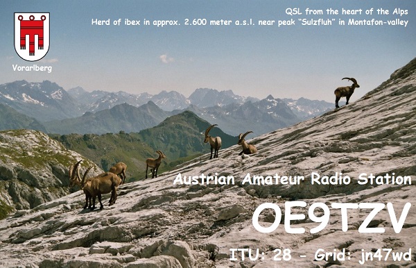 e qsl card